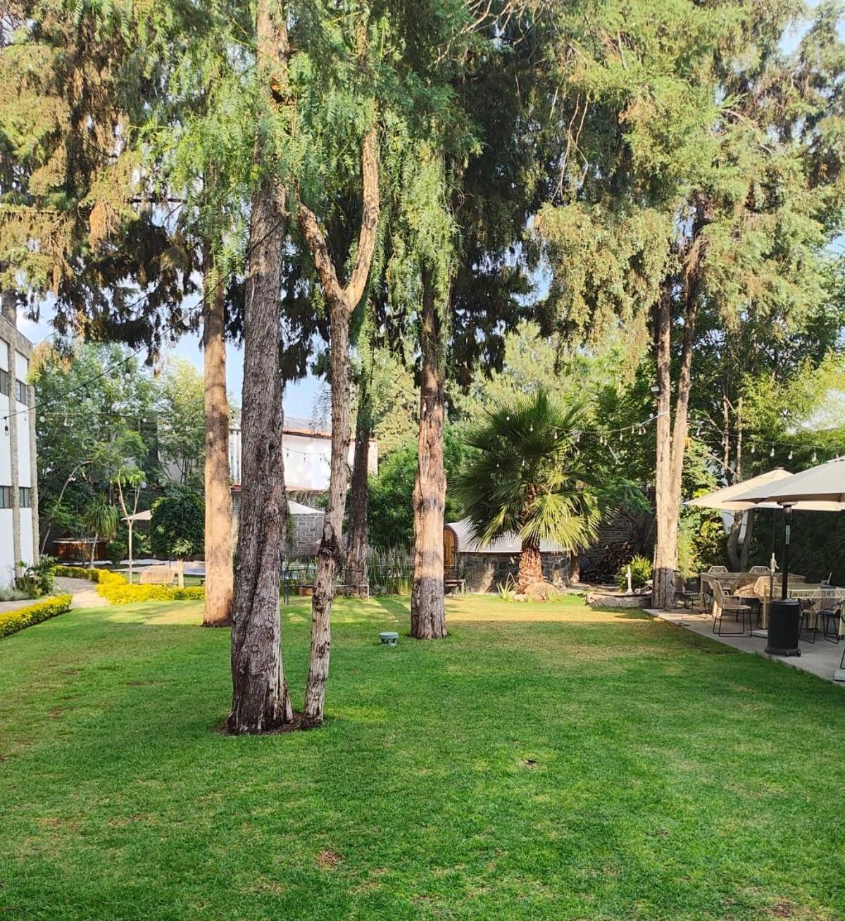 Hotel Boutique Camino Del Bosque By Rotamundos Чолула Экстерьер фото